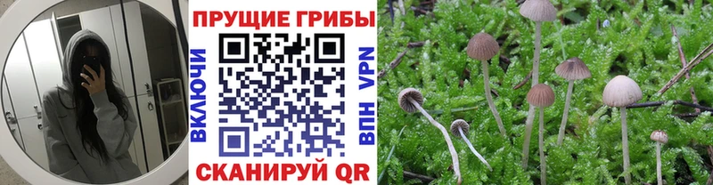 Галлюциногенные грибы мухоморы  Ардон 